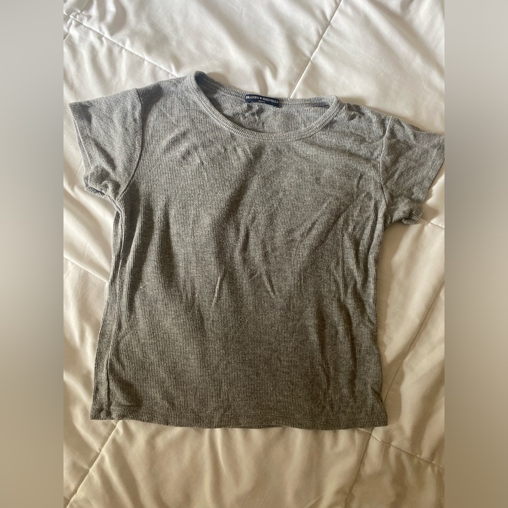 Brandy Melville Crop Top